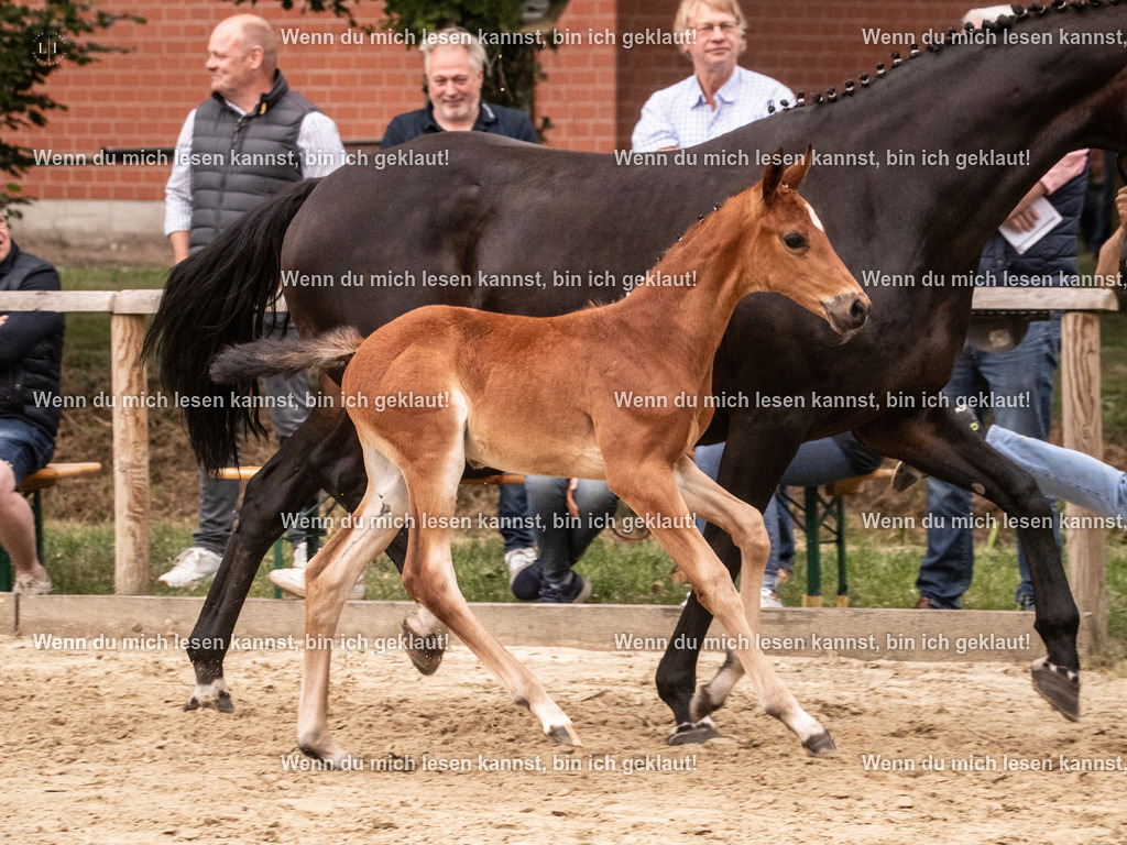 A10I5197 | photographylinaismer - Realisiert mit Pictrs.com