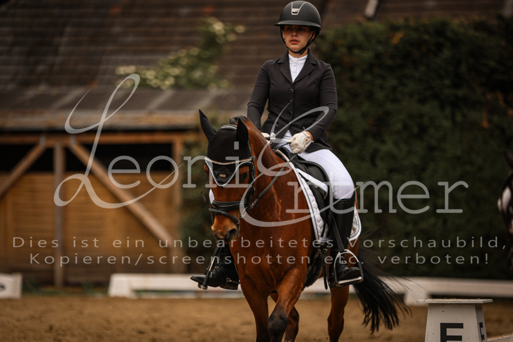 DoDrE00309 | Leoni Ertmer Photography - Realisiert mit Pictrs.com