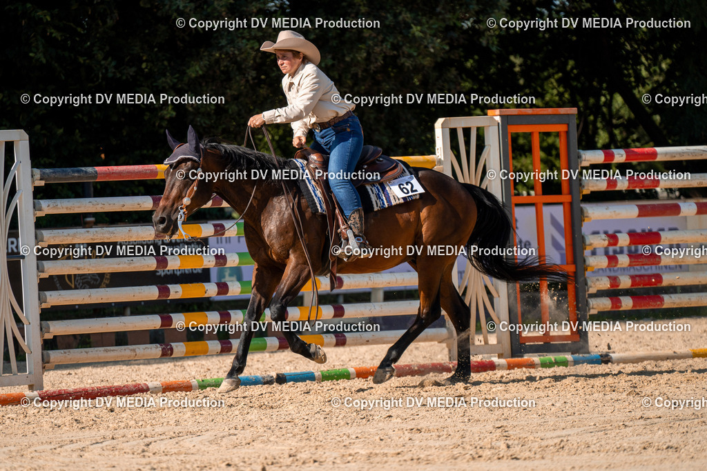 ZH100779 | dv-media-shop - Realisiert mit Pictrs.com