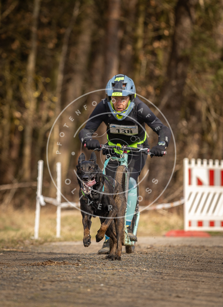 DV3A4710 | Hundefotografie, Tierfotograf, Pfotenfotografie, Fotoshooting Hund, Hunde Portrait, Hundesport, Hundeportraits, Heideshooting, Hunde, Sportfotograf, Hundefotograf, Turnierhundsport, THS,  - Realisiert mit Pictrs.com