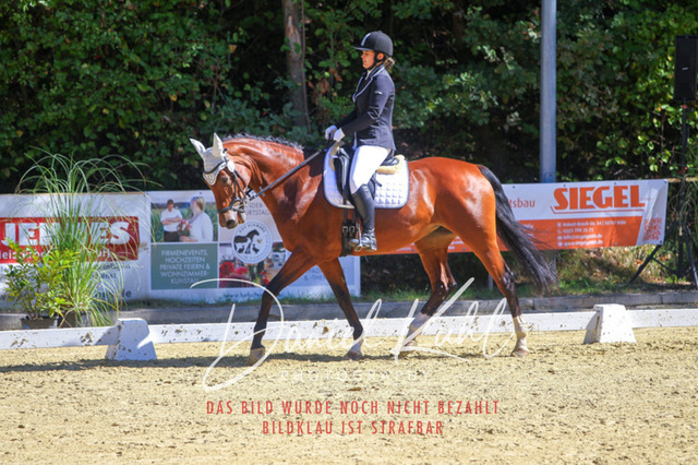 DKP42078 | Turniersportfotografie; Pferdefotografie; Dressurfotografie