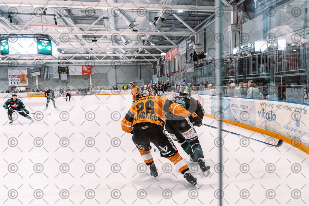 Alligators_vs_Fuessen_21.11.2025-072 | Höchstadt Alligators Fotogalerie: Eishockey-Action aus Franken. Professionelle Spielfotos, Portraits & Stadionbilder zum Download. Jetzt entdecken! - Realisiert mit Pictrs.com
