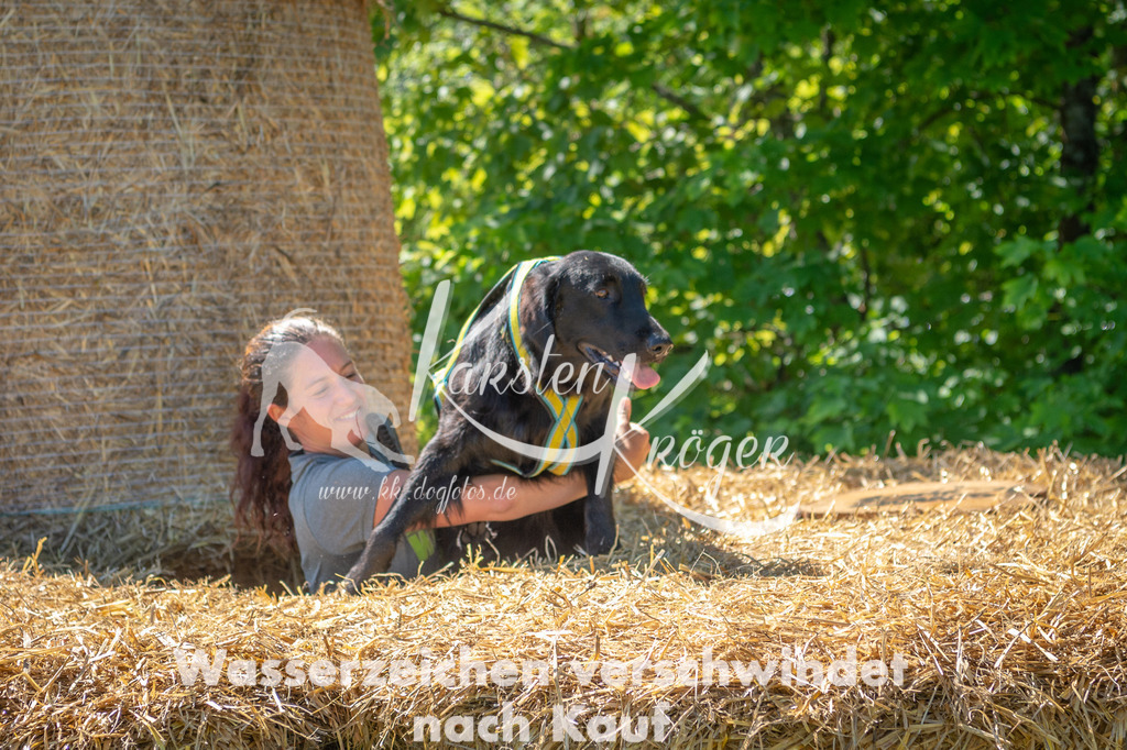 1054STR_5991 | kk-dogfotos