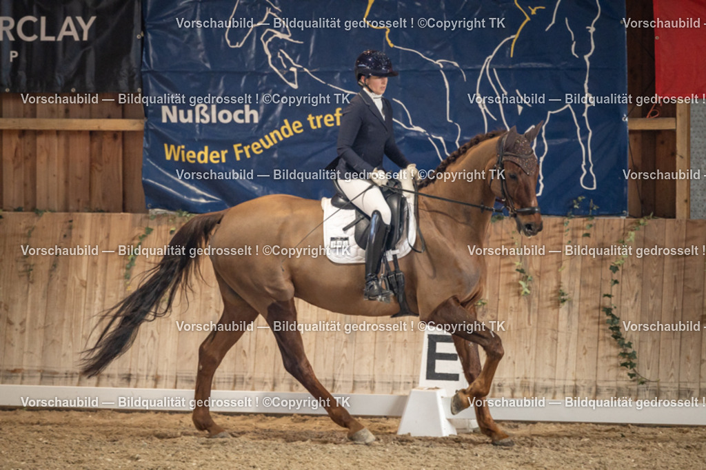 _D5A1196 | Emotionale Pferde- & People-Fotografie rund um Heidelberg, Leimen & Umgebung. Natürliche Fotos von Pferd, Mensch & Familie. Jetzt Termin sichern!