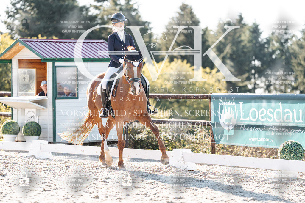 CK906835 | Turnierfotografie Pferdefotografie Trier Rheinland-Pfalz Pferdesport Reitsport Tierfotografie Sportfotografie Pferdevideo Pferdevideografie Equestrianvideography equestrianphotography  - Realisiert mit Pictrs.com