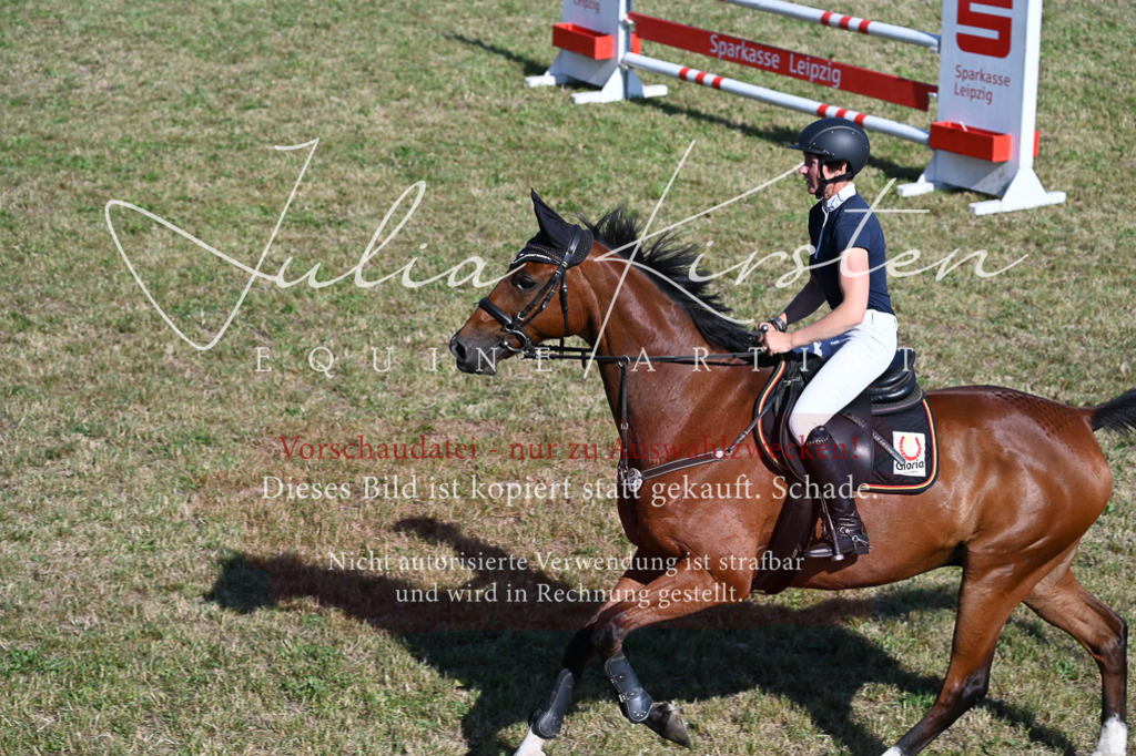 DSC_2195 | Pferde- und Turnierfotografie in Westsachsen. Pferdeportraits, Auftragszeichnungen und intuitive Kunst.