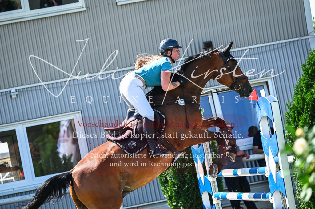 DSC_1510 | Pferde- und Turnierfotografie in Westsachsen. Pferdeportraits, Auftragszeichnungen und intuitive Kunst.