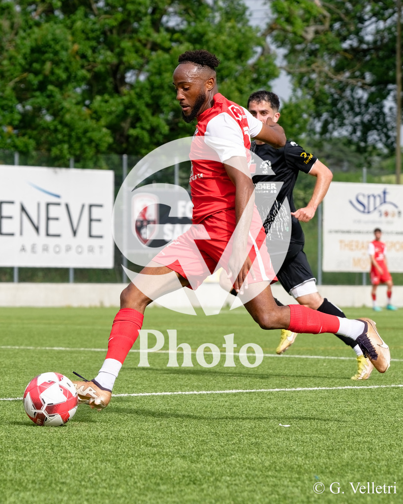 DSC_9480 | Velletri Photo