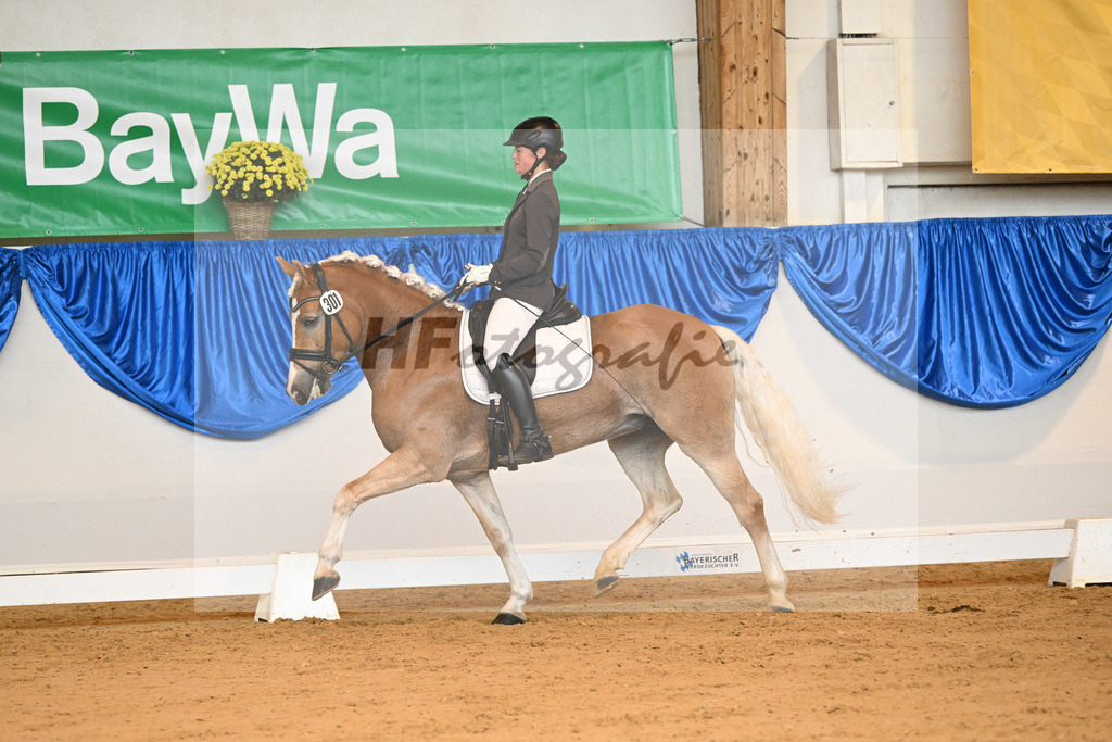 Kat-Nr. 301 Belle Sambatie_ZG Familie Stark_54221849 | hf-fotografie - Realisiert mit Pictrs.com