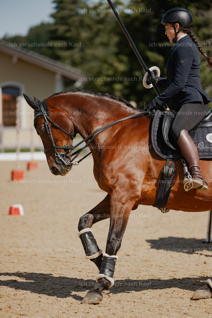 Nadine22_FHC2025-64 | working equitationturnier fotograf videograf stoibphotography marixx film working equitation deutschland reitsport turnierfotografie eventfotografie equestrian events