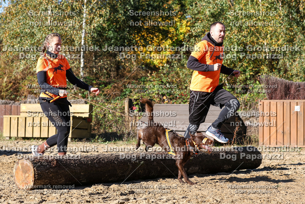 Dog Paparazzi - Strongdog 10-25-2064 | Dog Paparazzi Jeanette Grottendiek Fotografie & Videografie - Realisiert mit Pictrs.com