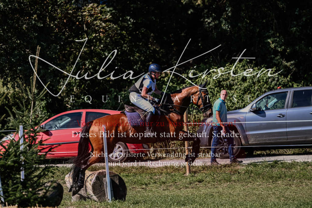 DSC_1996 | Pferde- und Turnierfotografie in Westsachsen. Pferdeportraits, Auftragszeichnungen und intuitive Kunst.