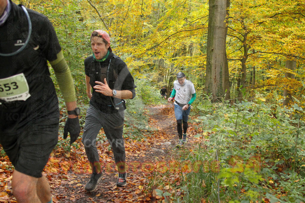 251026_1256_EV4_6137 | Sportfotografie im Rhein-Sieg Kreis, Köln, Bonn, NRW, Rheinland Pfalz, Hessen, etc. Unser Tätigkeitsfeld umfasst den Laufsport vom Volkslauf über den Marathon, Duathlon, Triathon bis zum Ultralauf wie Kölnpfad Ultra oder Schindertrail.