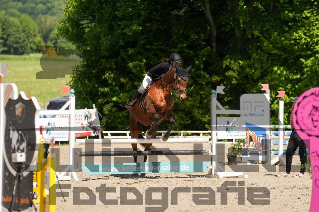 DSC02215 | Julian Held Fotografie - Realisiert mit Pictrs.com