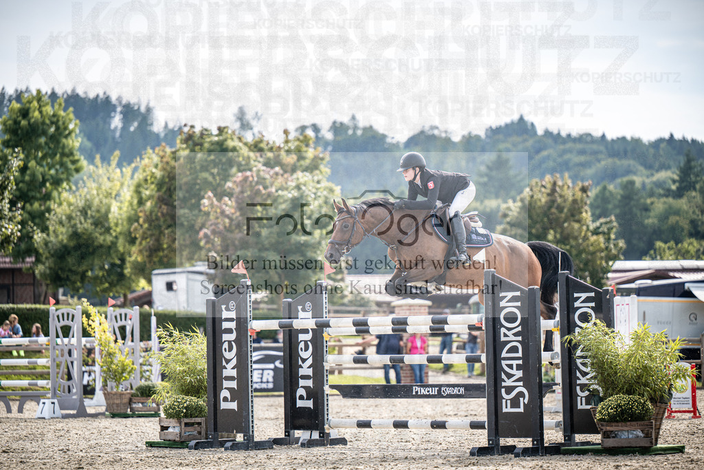 DOS_2129 | Entdecke hochwertige Reitturnierfotos von Foto Oger. Professionell, emotional und authentisch – jetzt Lieblingsmomente im Shop bestellen.Deutschlandweite Turnierfotografie. - Realisiert mit Pictrs.com