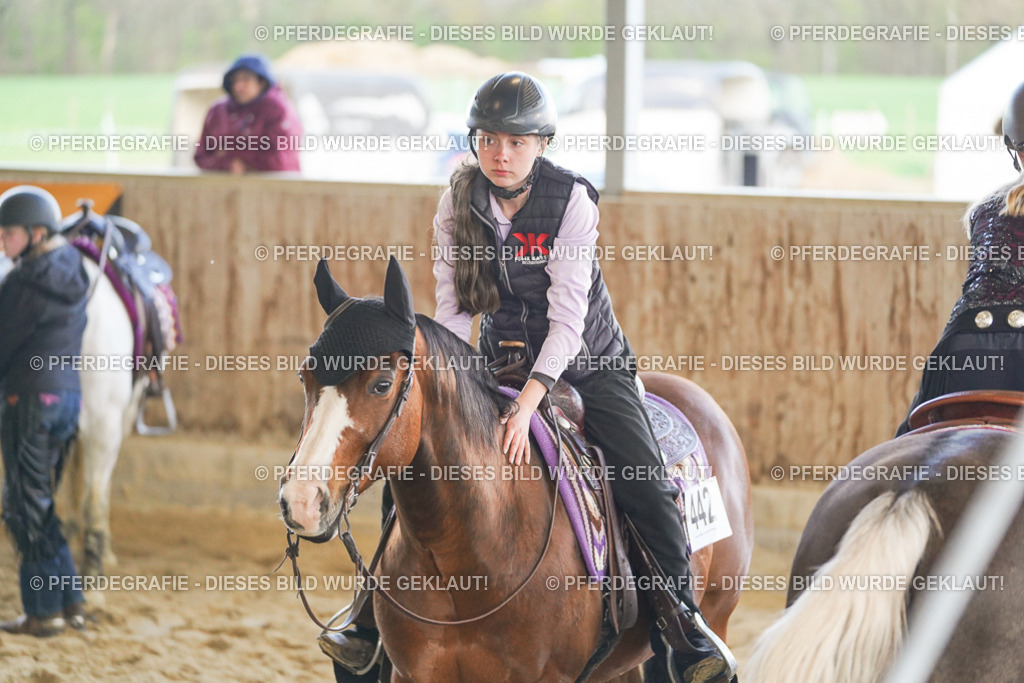 DSC01442 | Pferdegrafie