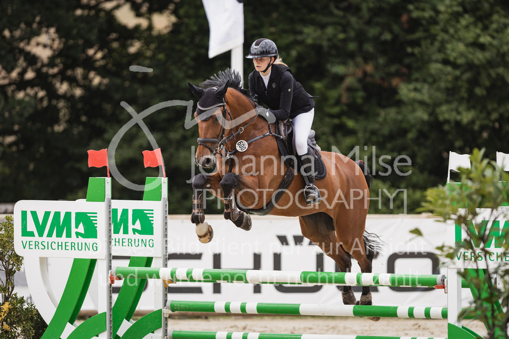 250711_BHO_A2-Spr-2-231 | Deine schönsten Turniermomente als professionelle Fotos! Entdecke hochwertige Pferdesport-Fotografie im Online-Shop. Jetzt Fotos finden & bestellen!