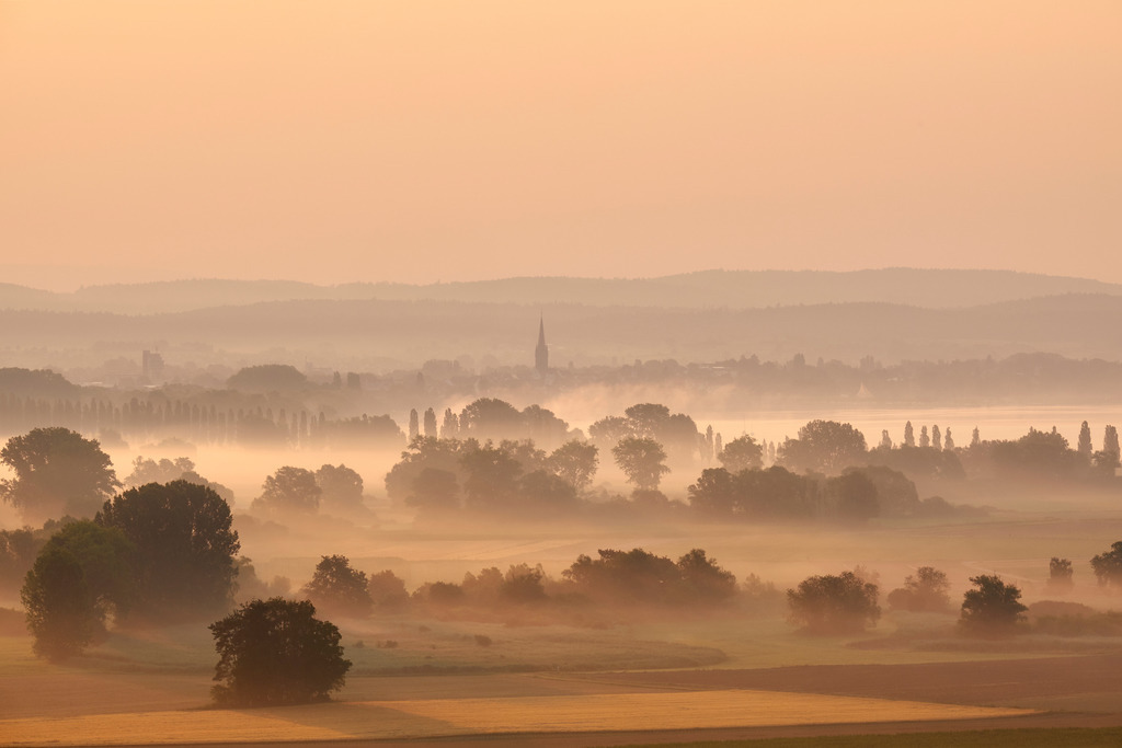 Das Radolfzeller Aachried IV | Das Radolfzeller Aachried ist bekannt für die stimmungsvollen Nebelfelder, die sich je nach Wetterlage früh Morgens vor und während des Sonnenaufganges bilden. - Realisiert mit Pictrs.com