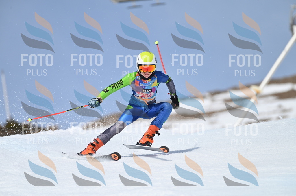 BGV_3910 | holidayphoto