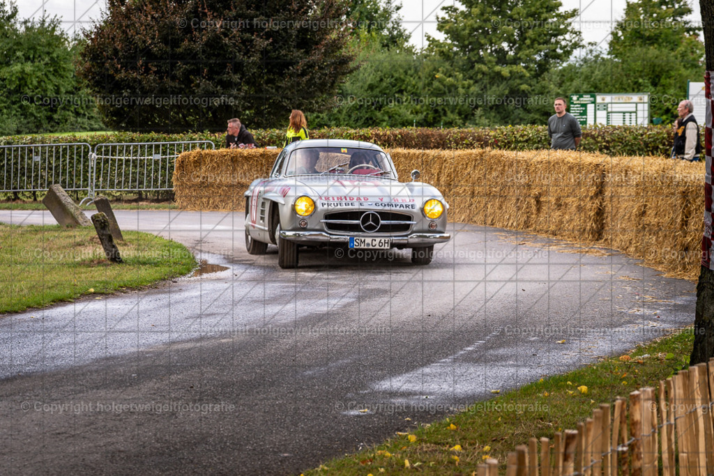 20250802152309D75_4797 | Classic Days Rittergut Birkhof 2025 - Realisiert mit Pictrs.com