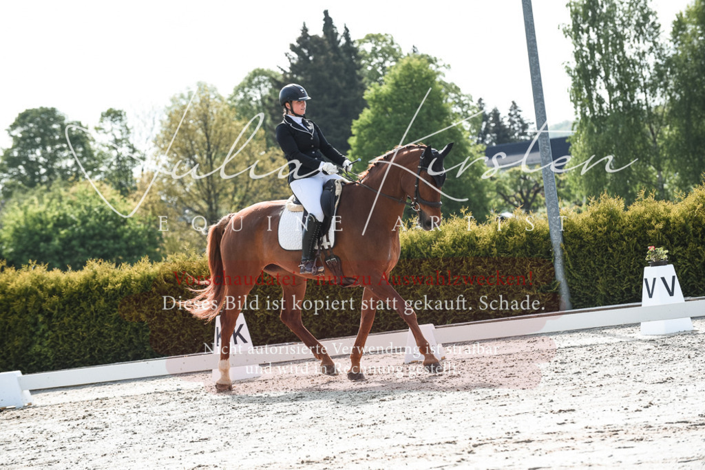 20230518_JK-Röhrsdorf-09-1290 | Pferde- und Turnierfotografie in Westsachsen. Pferdeportraits, Auftragszeichnungen und intuitive Kunst.