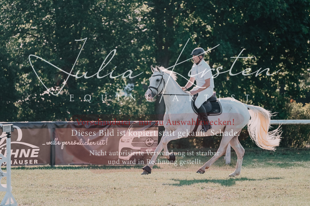 DSC_4555 | Pferde- und Turnierfotografie in Westsachsen. Pferdeportraits, Auftragszeichnungen und intuitive Kunst.