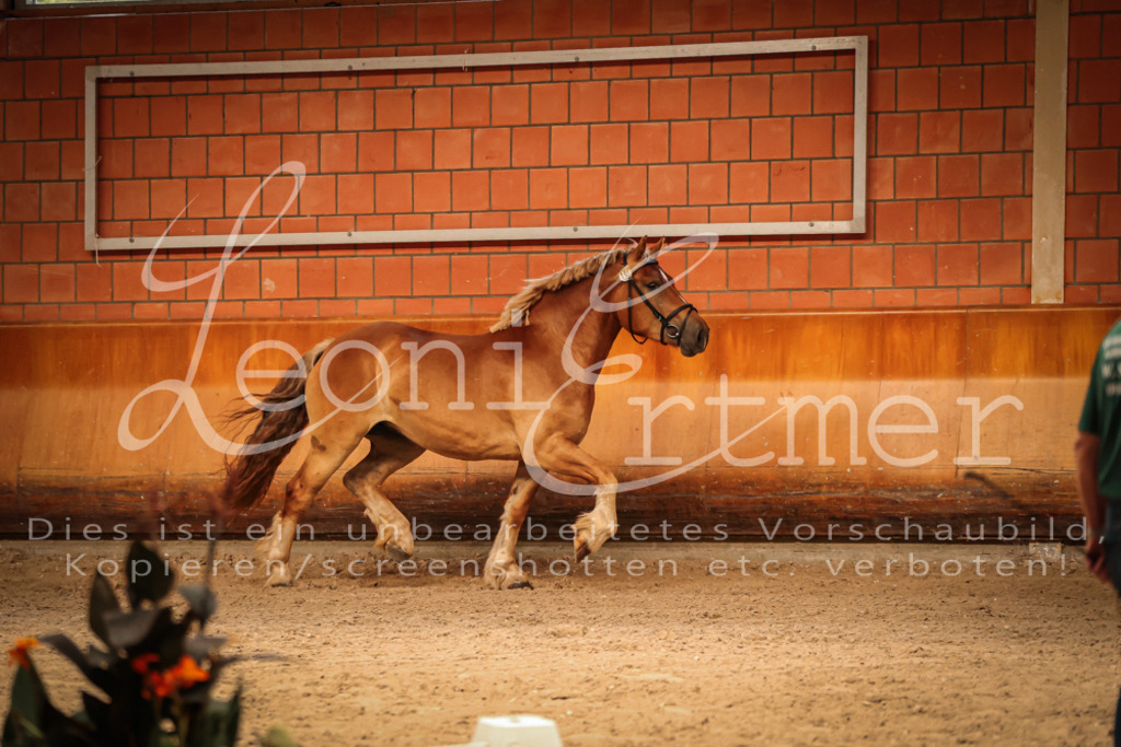 SaFL00165 | Leoni Ertmer Photography - Realisiert mit Pictrs.com