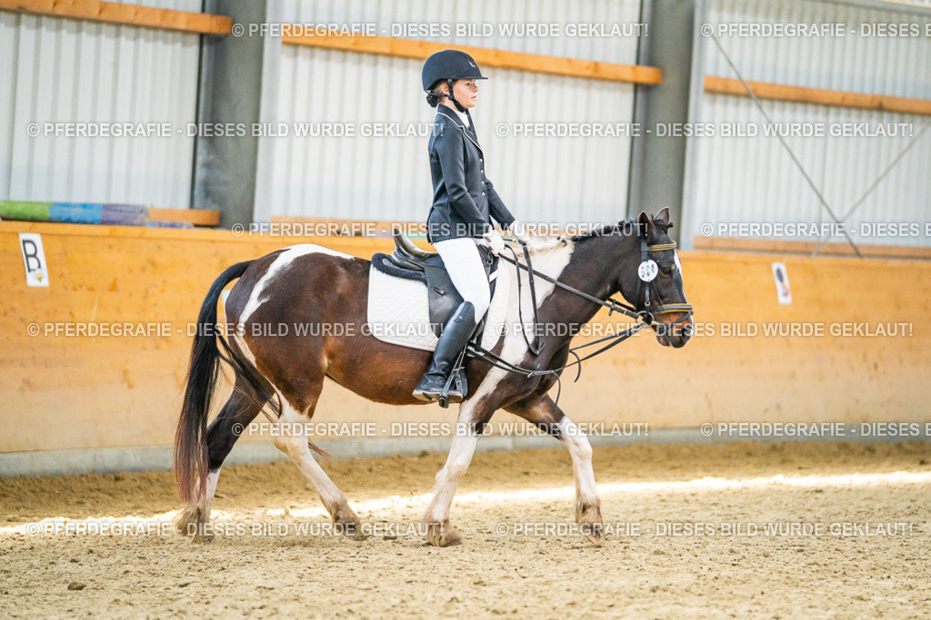 DSC03190 | Pferdegrafie