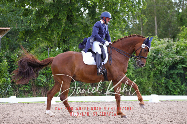 DKP41487 | Deine Turnierfotos vom Reitturnier online kaufen: Dressur, Springen & Siegerehrung. Professionelle Pferdefotografie aus dem Rheinland – als Download & Print.Alternative: Turnierfotograf für den Pferdesport: Finde deine Fotos von Dressur- und Springturnier