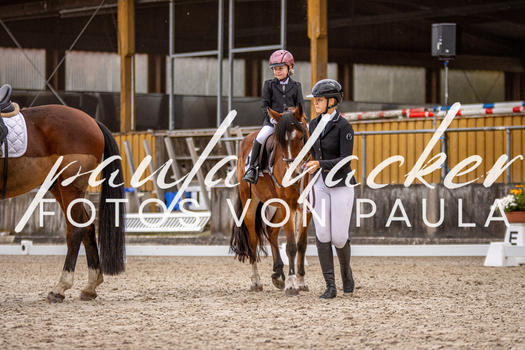 IMG_3999 | Erleben Sie dynamische Sport- und emotionale Tierfotografie in Süddeutschland mit Fotos von Paula. Spezialisiert auf Pferde- und Hundefotografie sowie Sportevents. Kontaktieren Sie mich für einzigartige und ausdrucksstarke Bilder Ihrer besonderen Momente. - Realisiert mit Pictrs.com