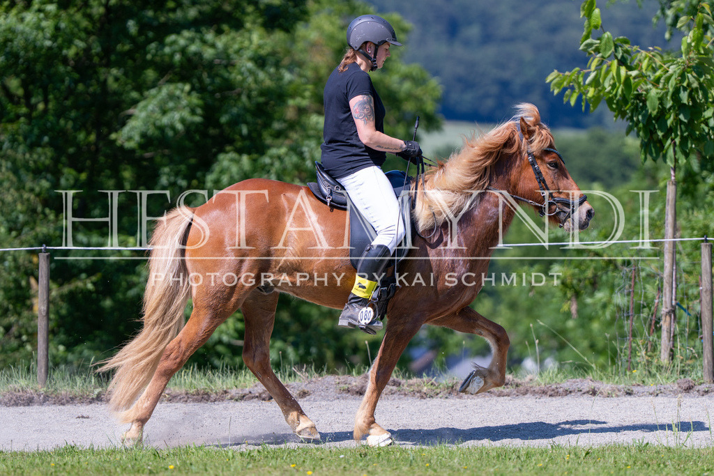 KAI05878 | Ihr sucht einen Fotografen für eure nächste OSI? Ich begleite auch euer Turnier für Islandpferde fotografisch.  - Realisiert mit Pictrs.com