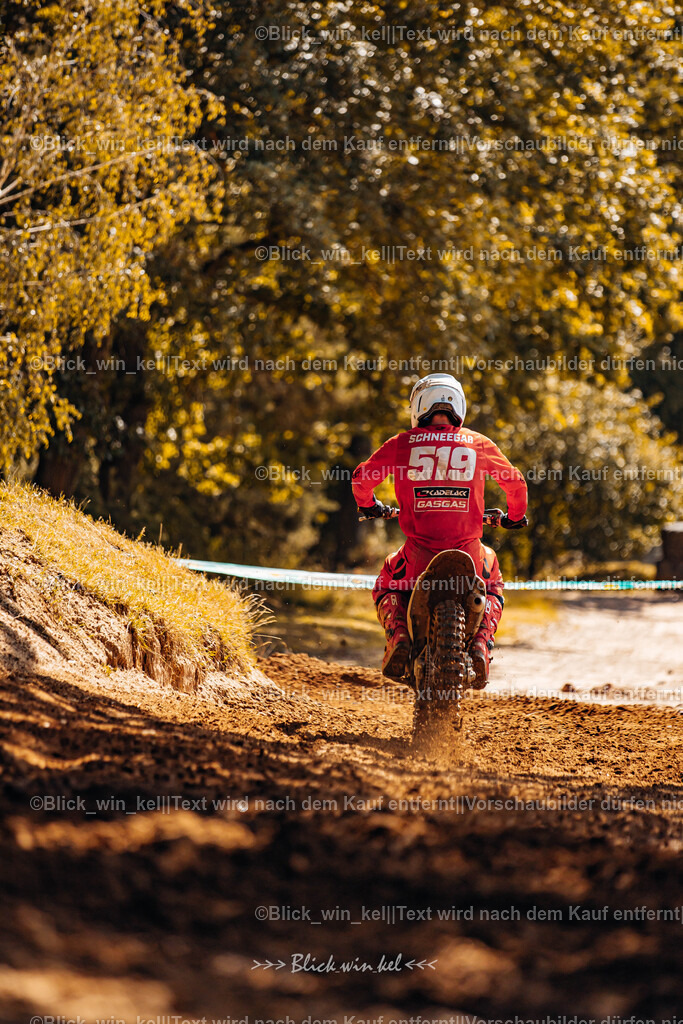 E68A8817 | blick_win_kel