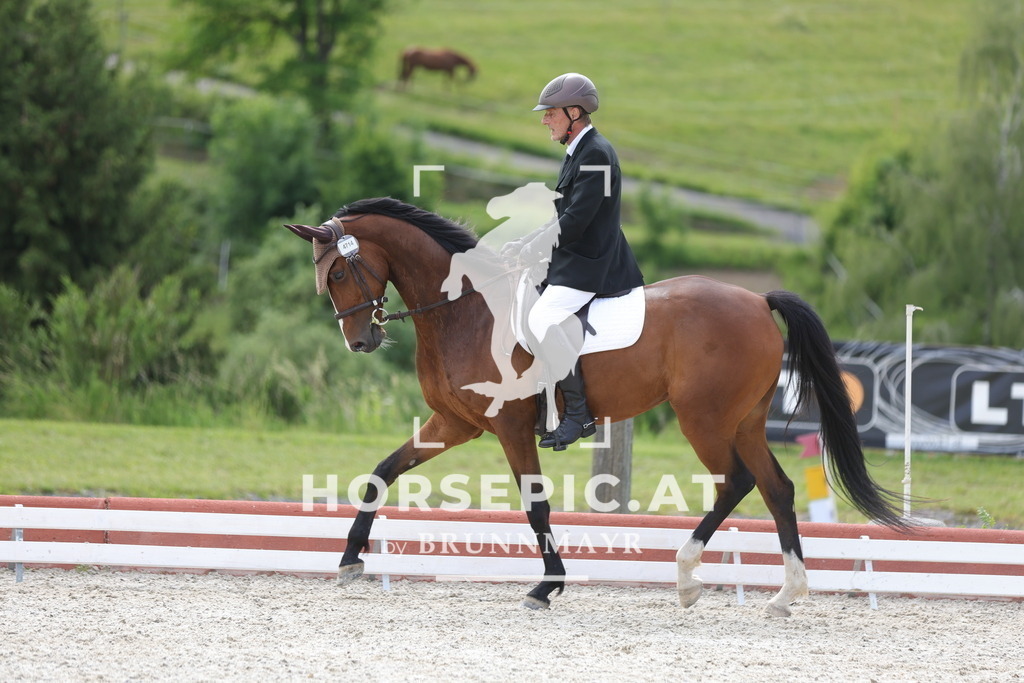 0P6A5465 | Willkommen bei Brunnmayr - Design & Fotografie – Ihrem Spezialisten für Reitturniere und Pferdeveranstaltungen in Oberösterreich, Salzburg und Bayern! Seit über 17 Jahren sind wir leidenschaftlich dabei.