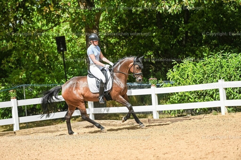 20230715_02_Dressurreiterprüfung Kl.L_0409 | equistock