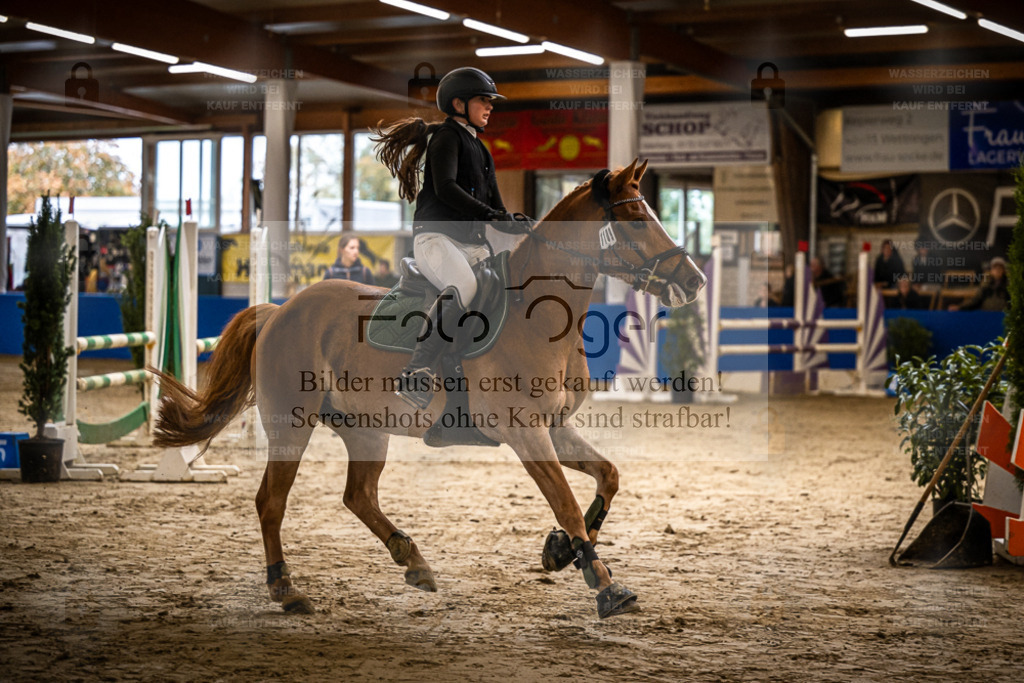 DOS_0219 | Entdecke hochwertige Reitturnierfotos von Foto Oger. Professionell, emotional und authentisch – jetzt Lieblingsmomente im Shop bestellen. - Realisiert mit Pictrs.com