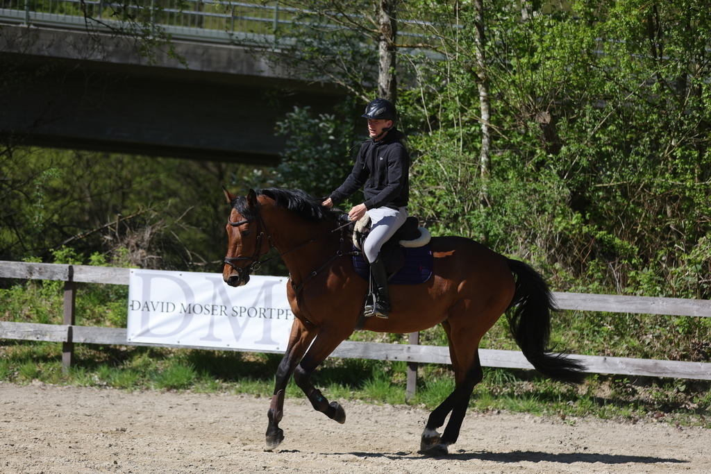 0P6A8108 | Willkommen bei Brunnmayr - Design & Fotografie – Ihrem Spezialisten für Reitturniere und Pferdeveranstaltungen in Oberösterreich, Salzburg und Bayern! Seit über 17 Jahren sind wir leidenschaftlich dabei.