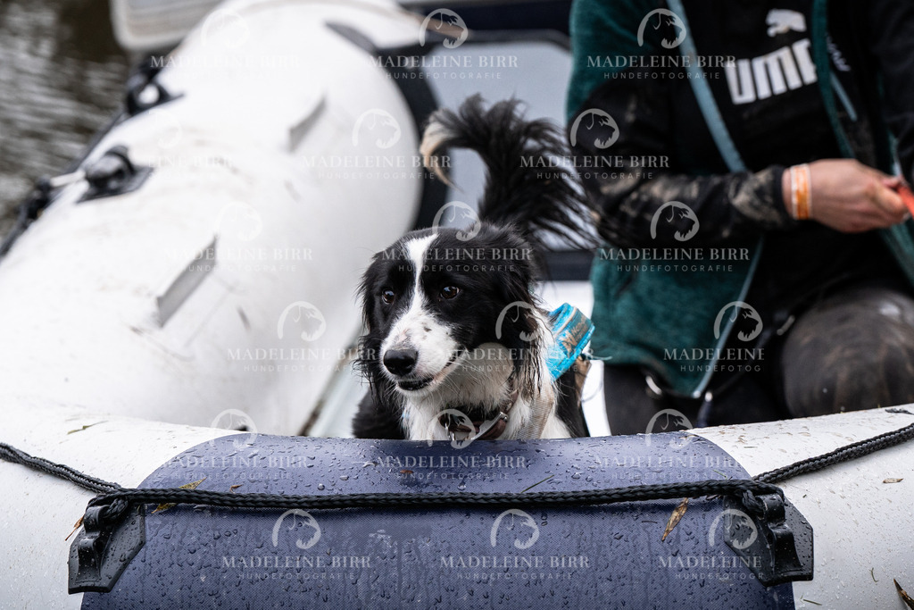 madeleinebirr-fotografie2025.campcanis.Startbis9Uhr-206 | hundefotografie-birr