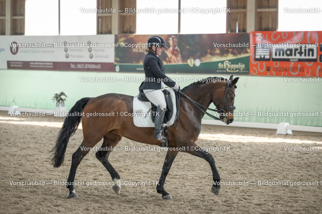 _D5A3056 | Emotionale Pferde- & People-Fotografie rund um Heidelberg, Leimen & Umgebung. Natürliche Fotos von Pferd, Mensch & Familie. Jetzt Termin sichern!