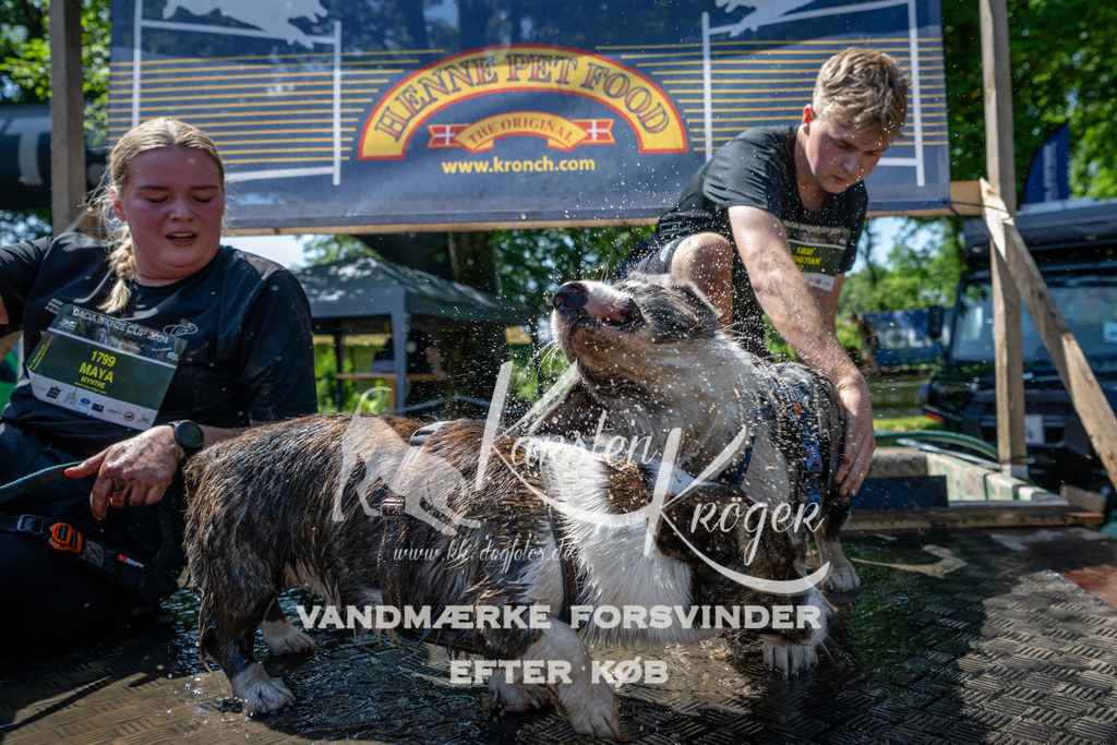 1237_ZZ91471 | kk-dogfotos