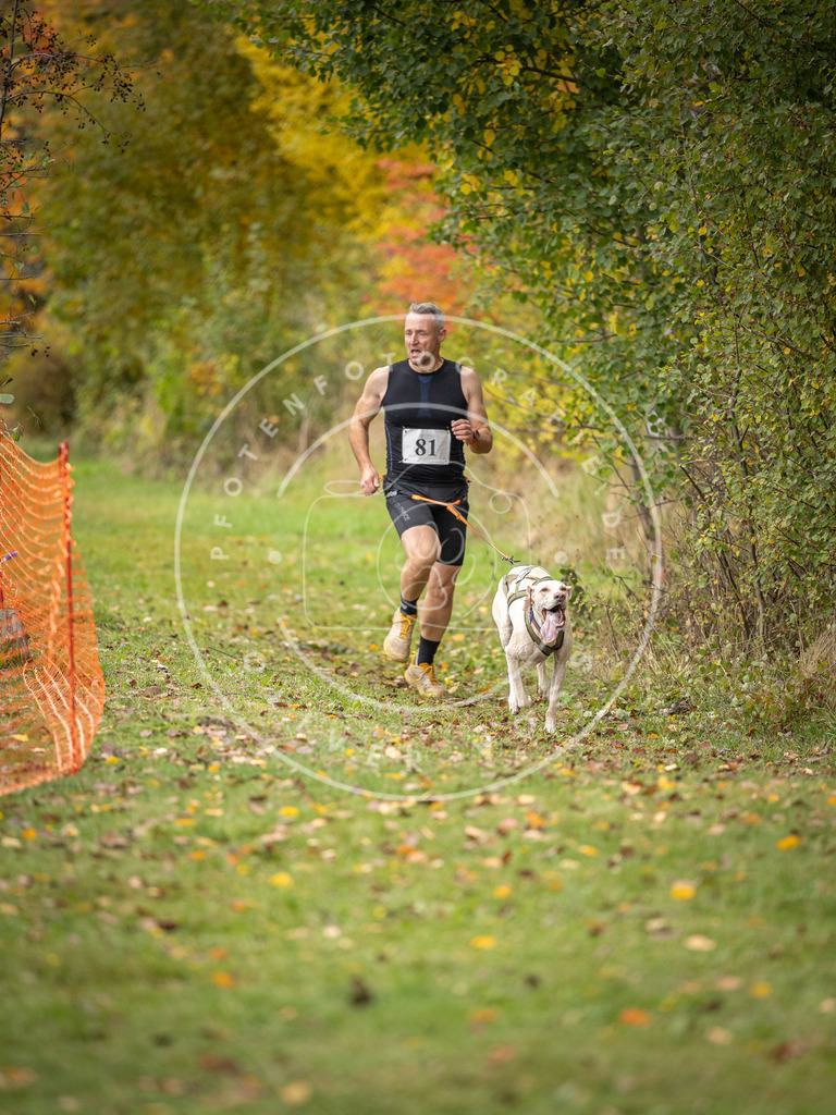 Pfotenfotografie_DV3A3032 | Hundefotografie, Tierfotograf, Pfotenfotografie, Fotoshooting Hund, Hunde Portrait, Hundesport, Hundeportraits, Heideshooting, Hunde, Sportfotograf, Hundefotograf, Turnierhundsport, THS,  - Realisiert mit Pictrs.com