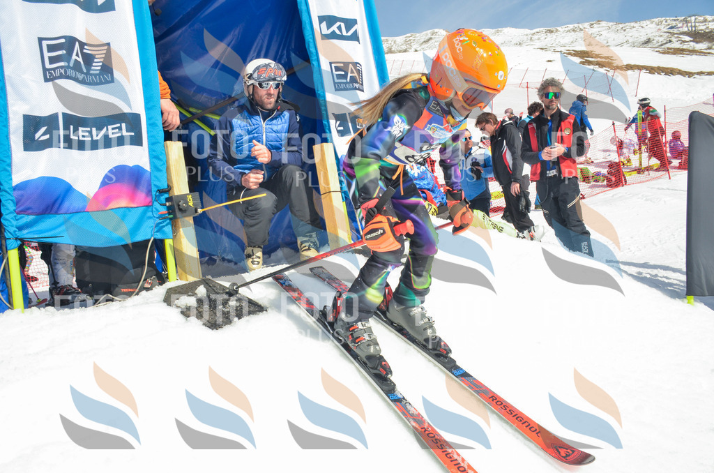 _ELE5647 | holidayphoto