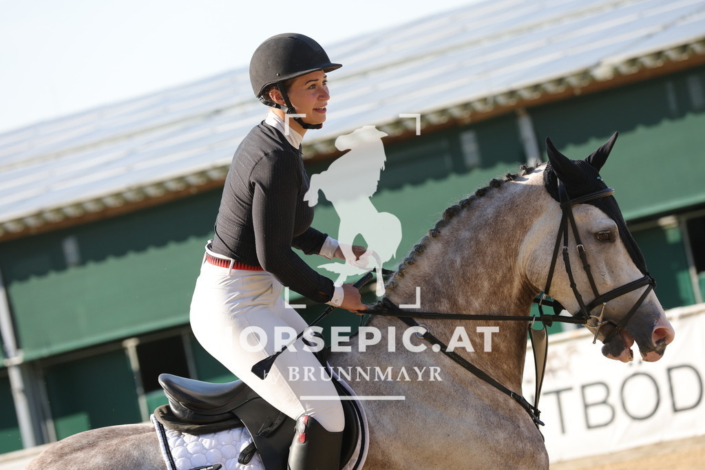 0P6A2026 | Willkommen bei Brunnmayr - Design & Fotografie – Ihrem Spezialisten für Reitturniere und Pferdeveranstaltungen in Oberösterreich, Salzburg und Bayern! Seit über 17 Jahren sind wir leidenschaftlich dabei.