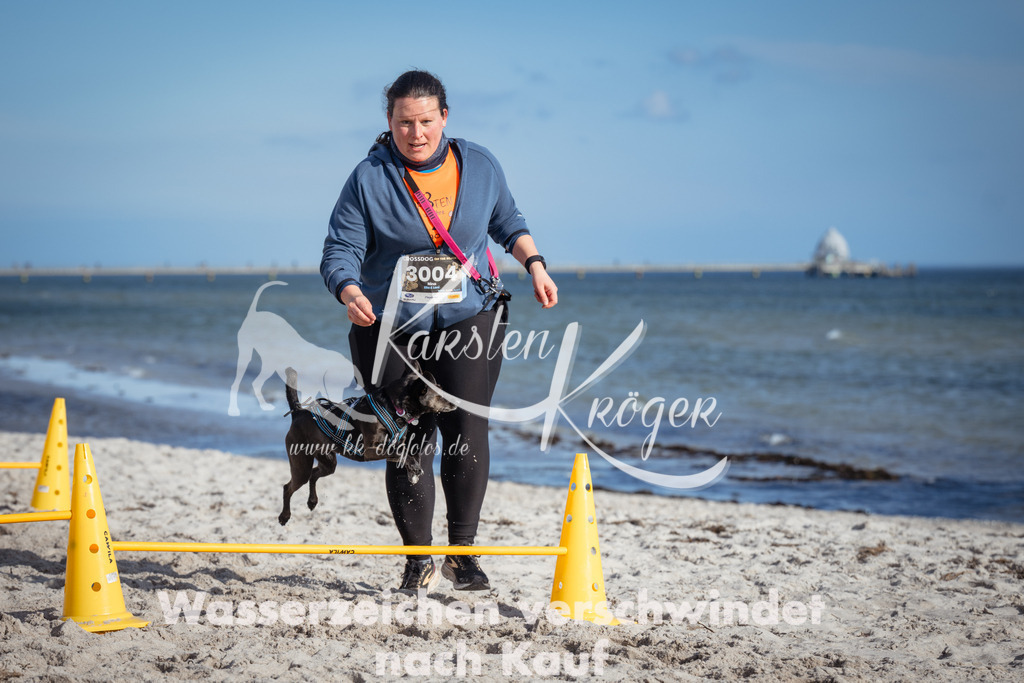 1341_ZZ92826 | kk-dogfotos