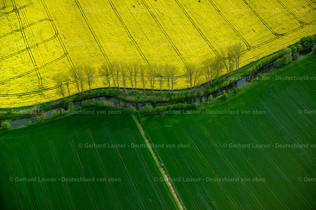 3504156 | Felder und Baumstrukturen an der Wipper bei Wollersleben