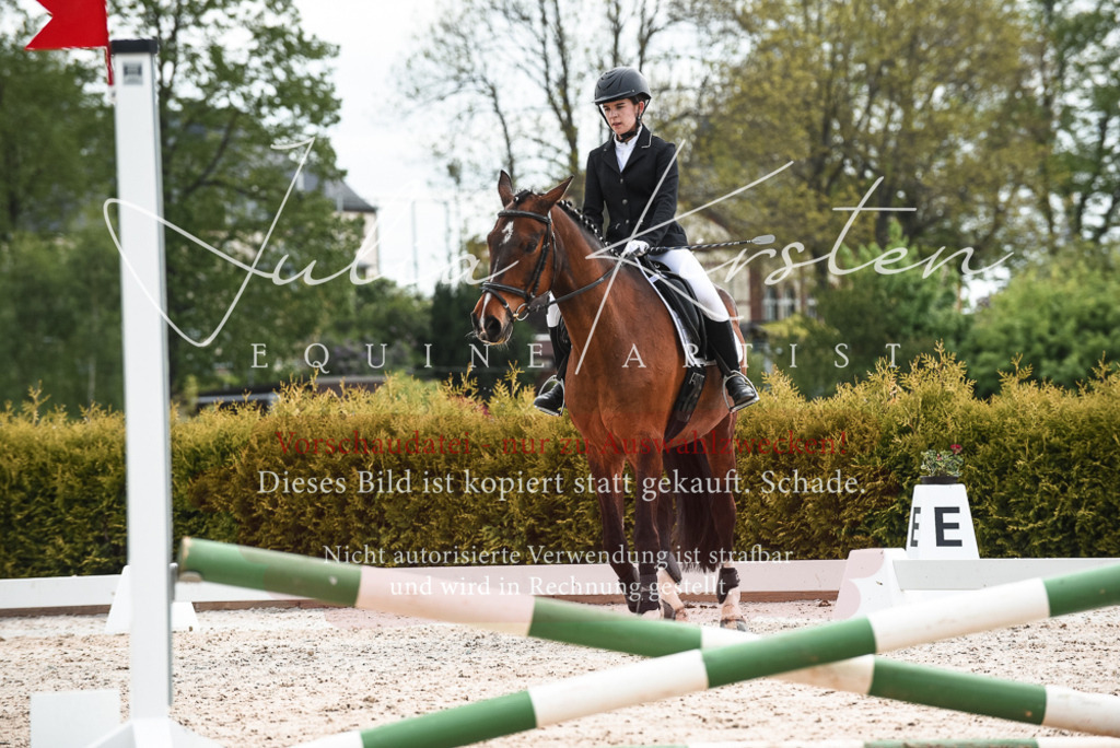 20230518_JK-Röhrsdorf-10-190 | Pferde- und Turnierfotografie in Westsachsen. Pferdeportraits, Auftragszeichnungen und intuitive Kunst.