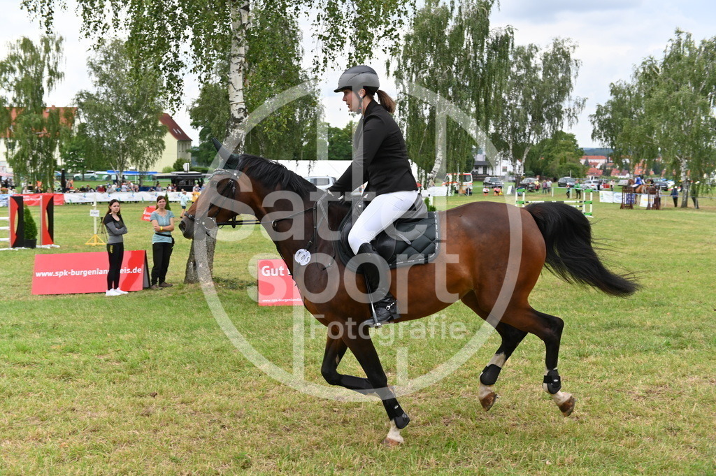 DSC_3359 | sattelsport - Realisiert mit Pictrs.com