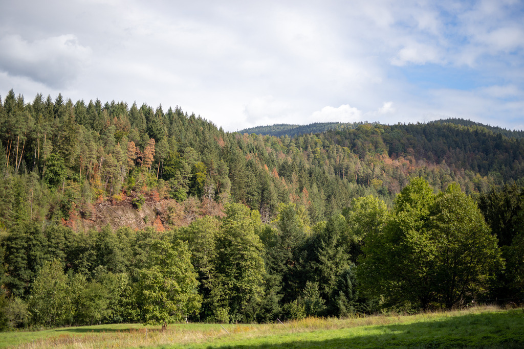 IMG_4563 | ehrlichefotos - Realisiert mit Pictrs.com