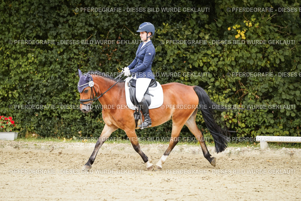 DSC00380 | Pferdegrafie