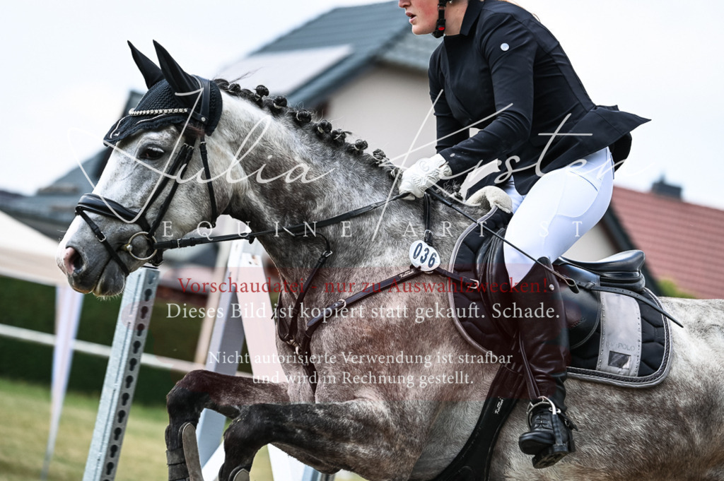 DSC_8936 | Pferde- und Turnierfotografie in Westsachsen. Pferdeportraits, Auftragszeichnungen und intuitive Kunst.