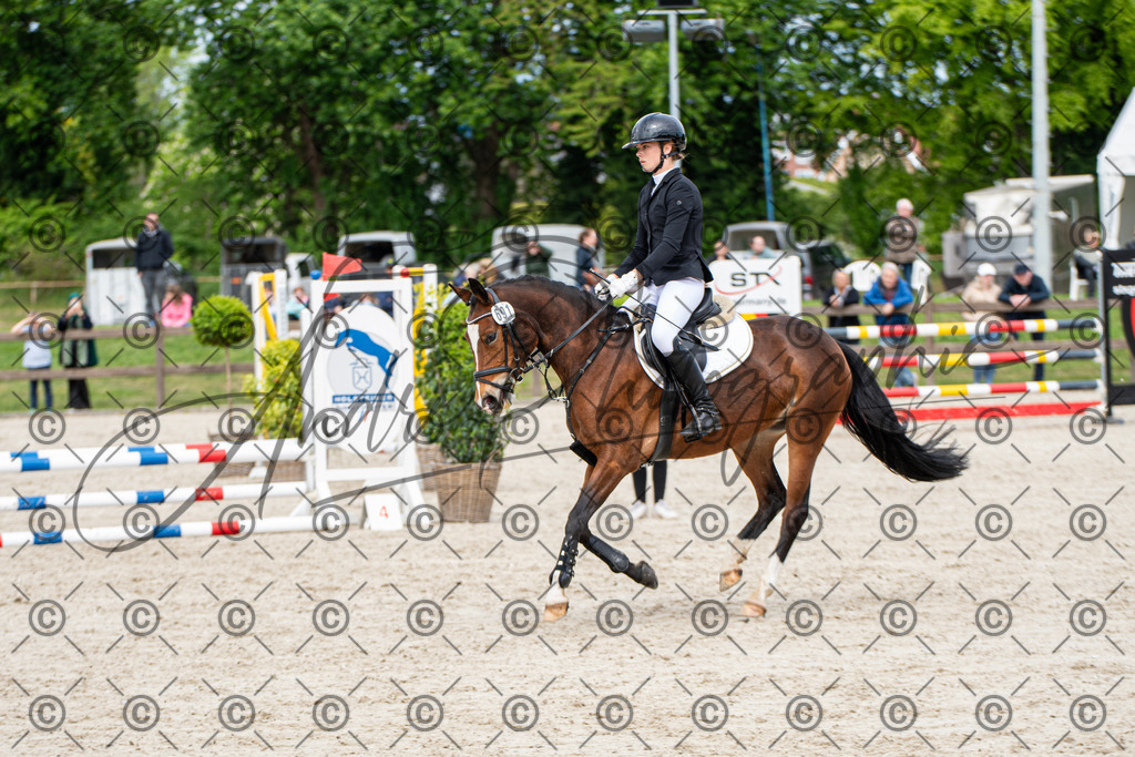 KPT_5968 | andre_photographic